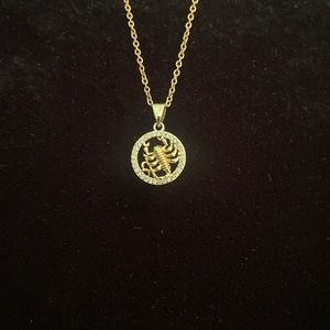 ♏️ Scorpio Zodiac necklace